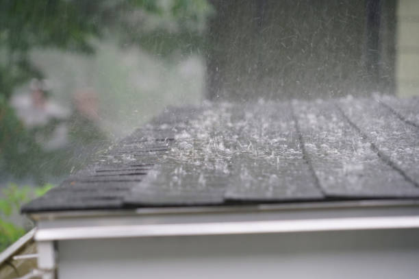 Best Emergency Roof Repair Services  in Belleville, WI