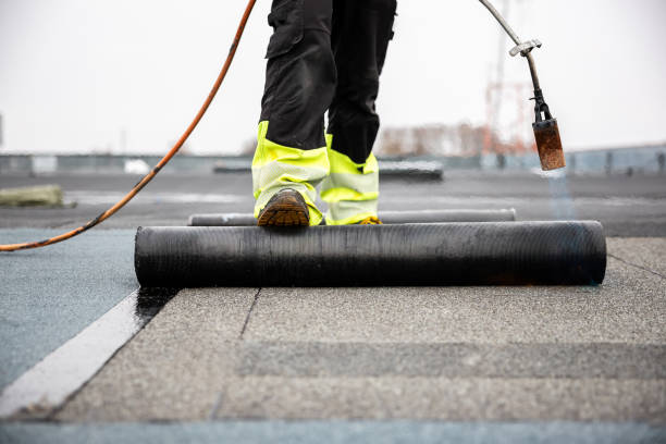 Best Rubber Roofing (EPDM, TPO)  in Belleville, WI