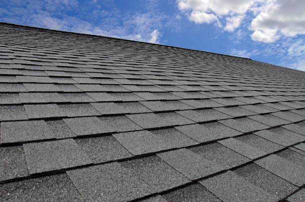 Best Roof Replacement  in Belleville, WI